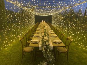 基安蒂格雷夫Villa Rignana - Chianti Weddings的一张长桌子,椅子和灯,灯