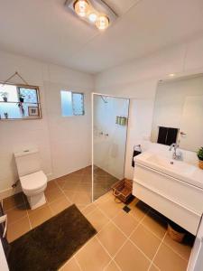 伊萨山'Your Place on Davidson'的浴室配有卫生间、盥洗盆和淋浴。