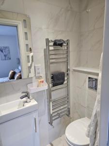 奥平顿Vienna Orpington的白色的浴室设有卫生间和水槽。