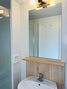 耶泽拉Mobile home Comfort Jezera Murter的一间带水槽和镜子的浴室