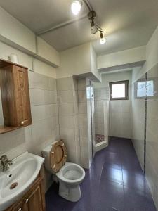 克拉约瓦Fancy Apartament Promenada Mall的浴室配有卫生间、盥洗盆和淋浴。