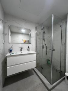 埃拉特Sansa suite SeaSide Sea View dream Apartment的一间带水槽和淋浴的浴室