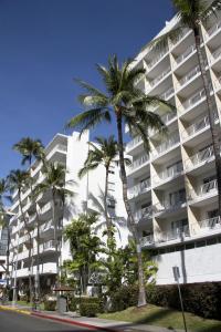 檀香山Oasis Hotel Waikiki的街道前方有棕榈树的建筑