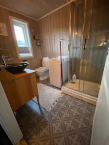 KvalsundHytte i Neverfjord.的带淋浴、盥洗盆和卫生间的浴室