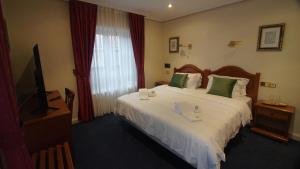 里亚萨HOTEL RIAZA的酒店客房设有一张大床和一台电视。