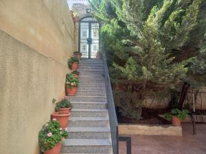 伊尔比德شقه مفروشه مع حديقه اربد بجانب مدارس دار العلوم的建筑一侧有盆栽植物的楼梯