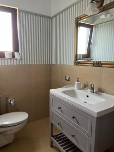 北马马亚-讷沃达里Casa vila ICA的一间带水槽、卫生间和镜子的浴室