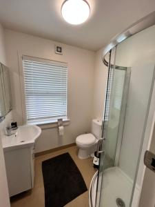奥克兰Eden Park House Auckland的浴室配有卫生间、盥洗盆和淋浴。