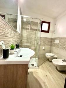 奥尔比亚Casa Moderna的一间带水槽、淋浴和卫生间的浴室