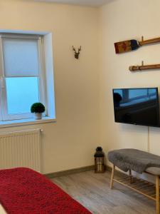 布拉索夫Maple Lodge Apartments的客厅的墙上配有平面电视。