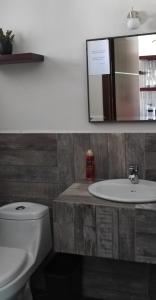 瓦哈卡市"Loft Naranjos, live the unique"的一间带水槽、卫生间和镜子的浴室