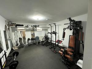 莱比锡Fit&Chill Apartment Sport, Entspannung & Netflix的一间健身房,配有数台跑步机和其他设备