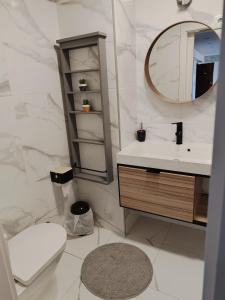 瓜尔达zélu apartamento centro da Guarda的一间带水槽、卫生间和镜子的浴室