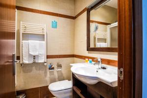 圣地亚哥－德孔波斯特拉Hotel Alda Bonaval的一间带水槽、卫生间和镜子的浴室