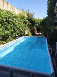 Villarrubia de SantiagoEl Sueño de Lucrecia的庭院里的一个蓝色海水游泳池