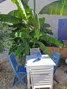 布尔日Chambre bleue avec accès plage的一张白色的桌子和两把蓝色的椅子,一个植物