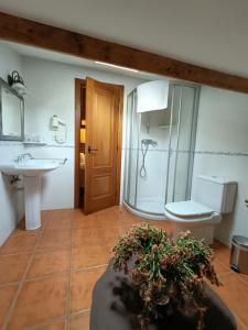 圣地亚哥－德孔波斯特拉托雷布兰卡旅馆的一间带卫生间和水槽的浴室