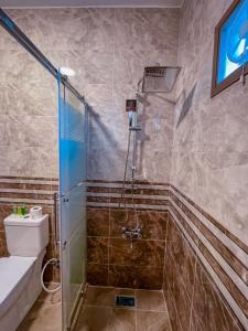 瓦迪穆萨Petra Caravan Guest House的带淋浴和卫生间的浴室
