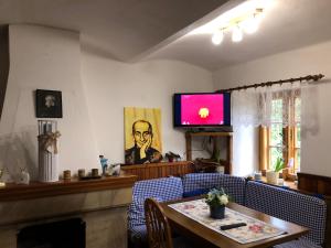诺瓦佩奇Chaloupka u Jiřího的客厅设有壁炉和电视。
