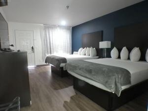 胡尔伯克GreenTree Inn of Holbrook, AZ的两张位于酒店客房的床,拥有蓝色的墙壁