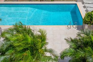 简蒂埃尔JT Curacao Apartments的游泳池前种有棕榈树