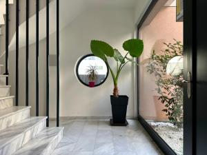 雅典M & M boutique apartments的走廊上设有镜子和盆栽