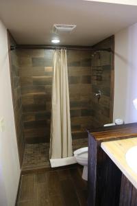 科珀斯克里斯蒂德维尔酒店的带淋浴、卫生间和盥洗盆的浴室