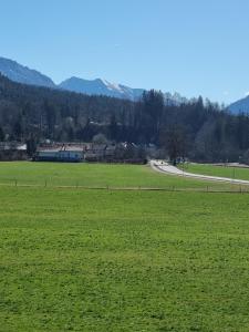 希格斯多夫Ferienwohnungen am Alpenrand的一片绿草丛,远处有一条路