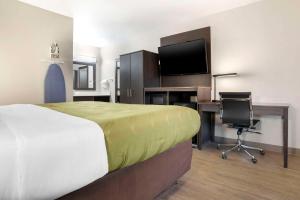 巴拿马城巴拿马城品质酒店及会议中心的酒店客房配有一张床、一张书桌和一台电视。