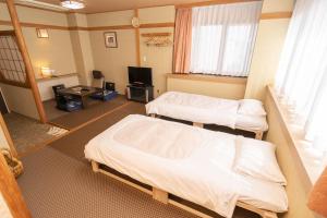 桐生市桐生爱斯酒店的一间医院间,配有两张床和电视