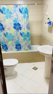 迪拜Dar Al Mansoor Vacation Homes LLC的一间带卫生间和淋浴帘的浴室