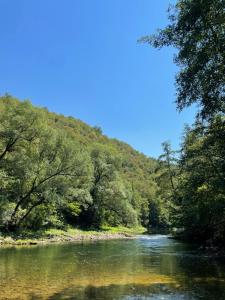 ZolaćiVikendica u prirodi na ranču的山边有树木的河流
