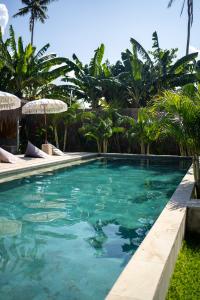 塞隆贝拉纳克Suku Lifestyle Hotel的棕榈树度假村内的游泳池