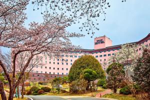 庆州柯荣酒店的前面有树木的白色大建筑
