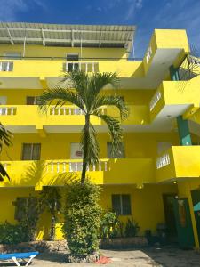 苏莎亚Coco Hotel and Hostel的一座黄色的建筑,前面有棕榈树