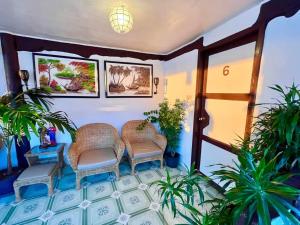 马拉帕斯加Seaside Hostel Malapascua的客厅配有两把椅子和植物