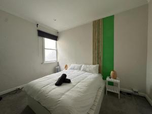 悉尼Dynamic 2 Bedroom home close to city buzz Darling St 2 E-Bikes Included的一间卧室配有一张白色的床和绿色的墙壁