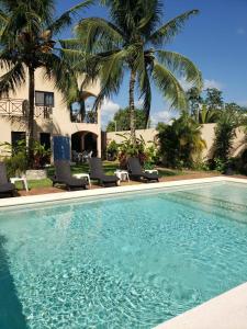 科苏梅尔Coral Island Suites Cozumel的一座房子前面的游泳池,游泳池里摆放着椅子和棕榈树