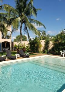 科苏梅尔Coral Island Suites Cozumel的一个带两把椅子的游泳池,一个棕榈树