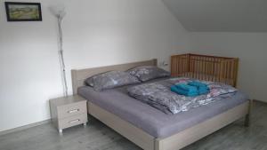 兹拉特霍里Rejviz apartmany的一间卧室配有一张带蓝色床单和枕头的床。