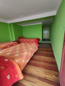 Comunidad YumaniHostal Isla del Sol的一间卧室设有两张床,拥有绿色的墙壁