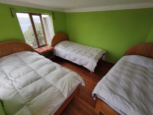 Comunidad YumaniHostal Isla del Sol的绿色客房的两张床,设有窗户