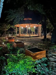 El GiganteThe Grand Mango的花园在晚上设有灯光凉亭