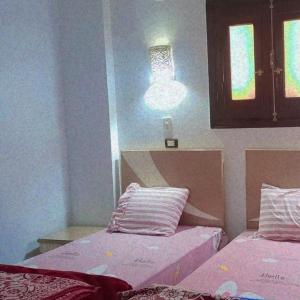 阿斯旺Nubian Queen Guest House的一间设有两张床的客房,墙上有一盏灯