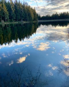 哈嫩克利博克斯维斯Harzpur Lodge - Pure Entspannung in purer Natur的水中树木和云的湖泊