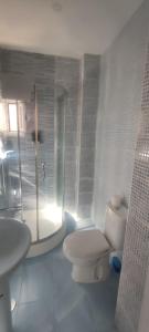 圣塞巴斯蒂安德洛斯雷耶斯Travel and Holidays San Nicolas的浴室配有卫生间、淋浴和盥洗盆。