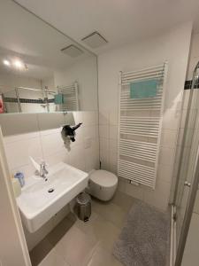 爱尔福特F & W Apartment的白色的浴室设有水槽和卫生间。