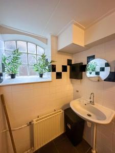 莱米尔't Lytse Knipke的浴室设有水槽,窗户上装有两盆植物