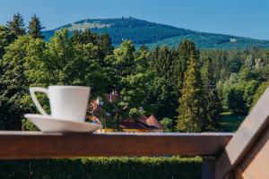 斯克拉斯卡波伦巴Five Seasons Szklarska Poręba的坐在阳台上一边享用咖啡一边欣赏美景