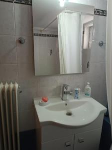 亚历山德鲁波利斯J&B Home的一间带水槽、镜子和散热器的浴室